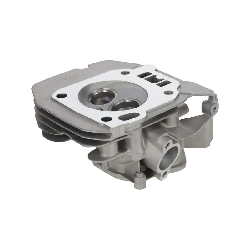 Cylinder head - 1200802780001