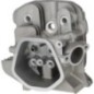 Cylinder head - 1200802780001