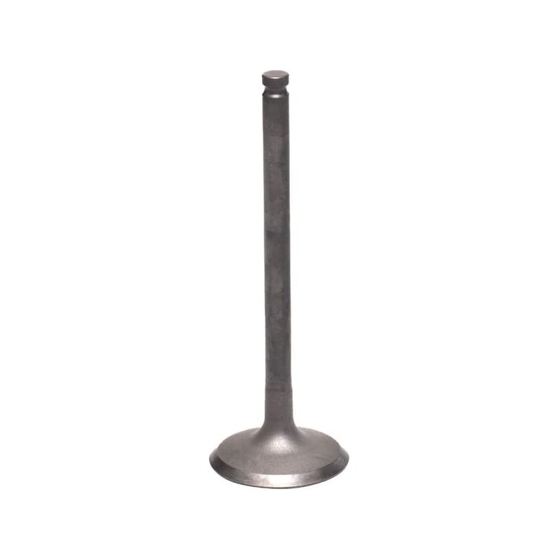 Intake valve - 120040740