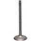 Intake valve - 120040740
