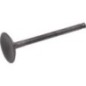 Intake valve - 120040740