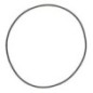 O-Ring 164,77x2,62 - 12100355 O-Ring 164,77x2,62 - 12100355