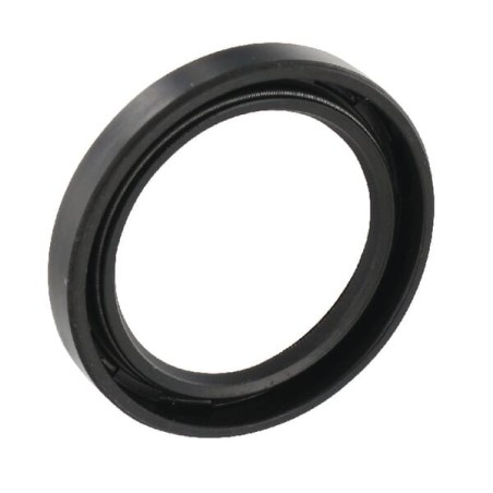 Oil seal Lombardini - 1210092