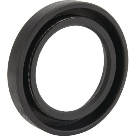 Wellendichtring Lombardini - 1213006