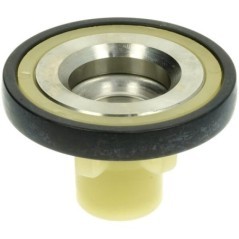 Suction/delivery valve assembly - 12200264