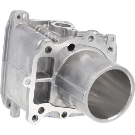 Cylinder silnika kpl. - 12100Z9L405
