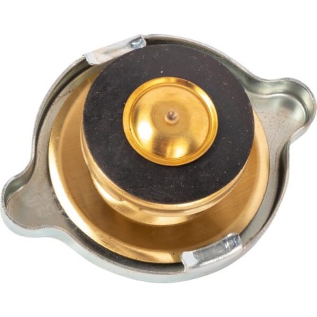 Radiator cap - 1231002N