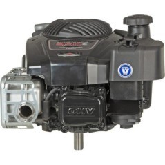 123P020074H5 Briggs & Stratton, Silniki kompletne 