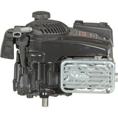 123P020074H5 Briggs & Stratton, Silniki kompletne 