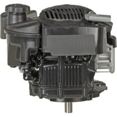 123P020074H5 Briggs & Stratton, Silniki kompletne 