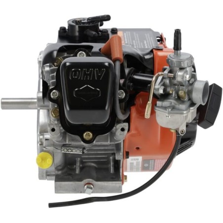 Briggs Stratton, Motor, Horizontal, 8.8PS - 1243328201