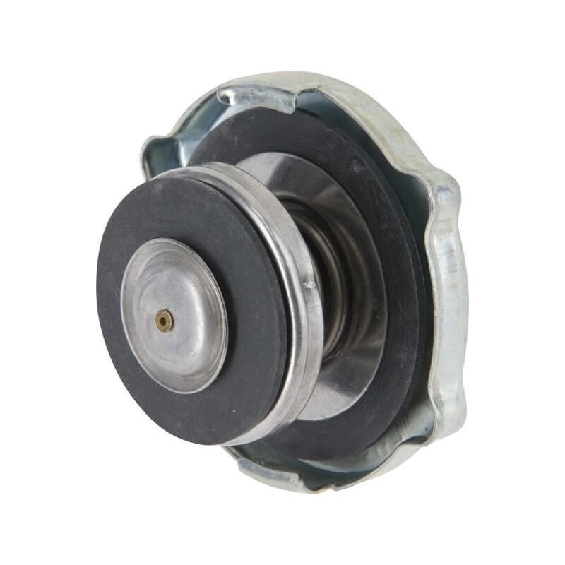 Kappe - 1265027