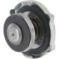 Cap - 1265027 Cap - 1265027