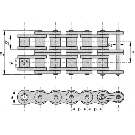 Rollenkette 12B-2 Rexplus - 12B2RP