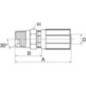 Insert DN20-3/4 NPTF - 12G12MP