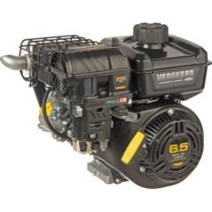 12V3320003F1 Briggs & Stratton, Complete engines 