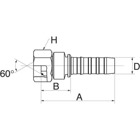Insert DN20-1 inch BSP - 12GS16FBSPORX