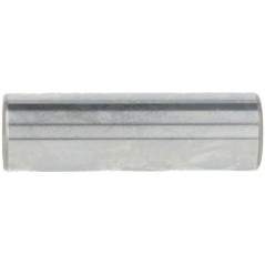 Piston pin - 1300600540001
