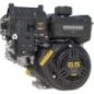 Engine, horizontal, 6.5 HP, Vanguard, Briggs Stratton - 12V3320007F1
