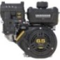 Engine, horizontal, 6.5 HP, Vanguard, Briggs Stratton - 12V3320007F1