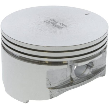 Piston - 1300303110001