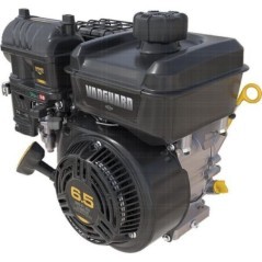 12V3320008F1 Briggs & Stratton, Complete engines 
