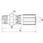 Insert DN20-3/4 NPTF - 12G12MPX