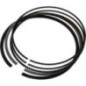 Piston ring set - 1300701560001