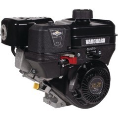 12V3520005F1 Briggs & Stratton, Complete engines 