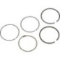 Piston rings - 130086024