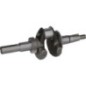 Crankshaft - 1302900410002 Crankshaft - 1302900410002