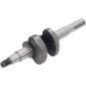 Crankshaft - 1302904430001 Crankshaft - 1302904430001