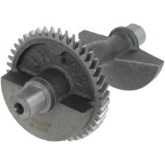 1304500290001 Loncin, Engine parts 