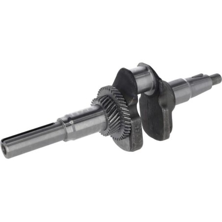 Crankshaft - 1302901020001