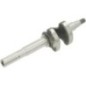 Crankshaft - 1302906720001
