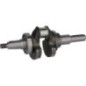 Crankshaft - 1302901120001 Crankshaft - 1302901120001