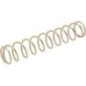 Druckfeder - 1305021 Druckfeder - 1305021