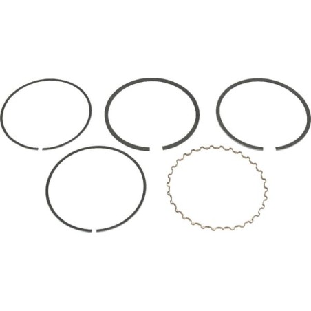 Piston rings - 130086025
