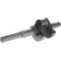 Crankshaft complete - 130310823 Crankshaft complete - 130310823