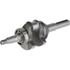 Crankshaft - 1302900610001