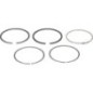 Piston rings - 130086029