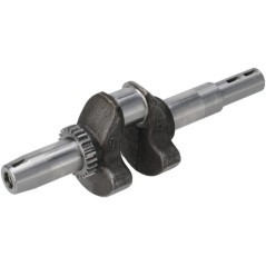 Crankshaft, complete - 130312133