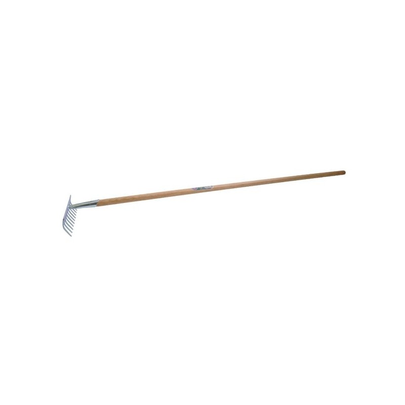 Lawn rake 10 tooth with handle - 1301110