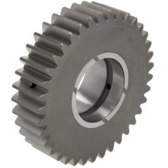 Gear - 1367033026