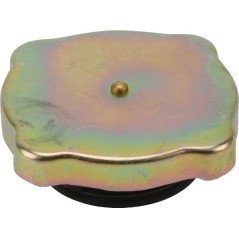 Radiator caps – produkty dostępne w rolniczeczesci.pl