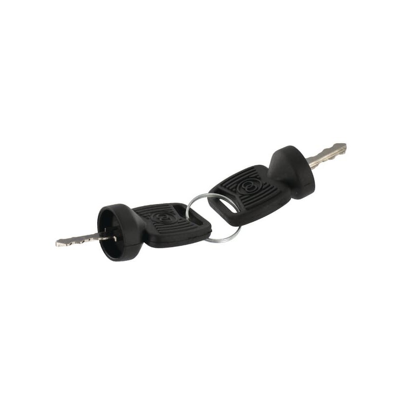 Ignition key, Cobo - 14300300