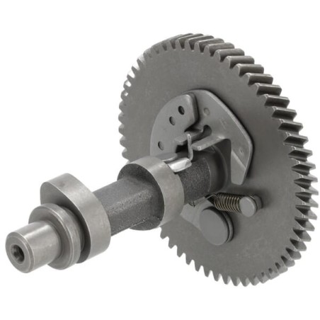 Camshaft assembly - 1400200550001