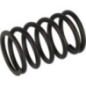 Ventilfeder - 1403400250001 Ventilfeder - 1403400250001
