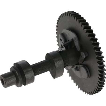 Camshaft assembly - 1400201090001