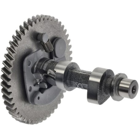 Camshaft assembly - 1400201140001